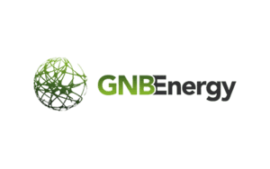 Southpac audit and seek to improve the systems of all our clients, including GNB Energy.